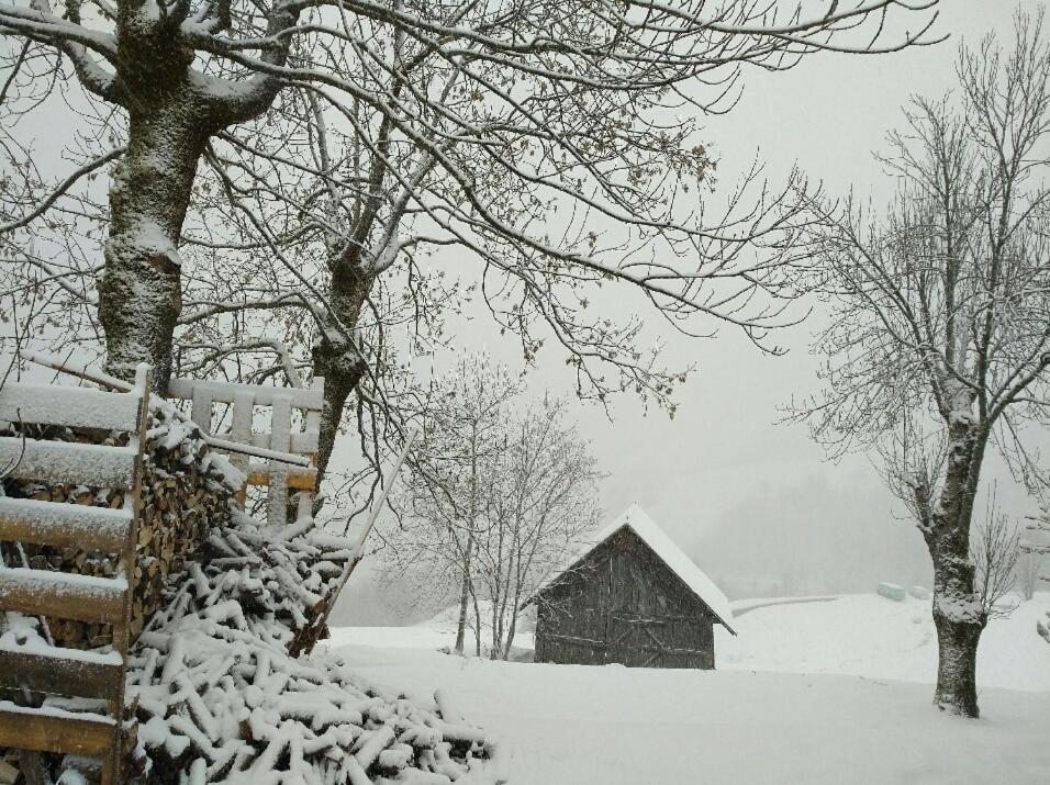 Chalet Lucie Le Cheval Noir Valmorel Εξωτερικό φωτογραφία